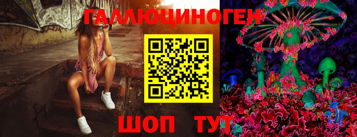 Псилоцибиновые грибы Psilocybe  Вход с VPN  Псилоцибиновые грибы Cubensis  Клинцы 