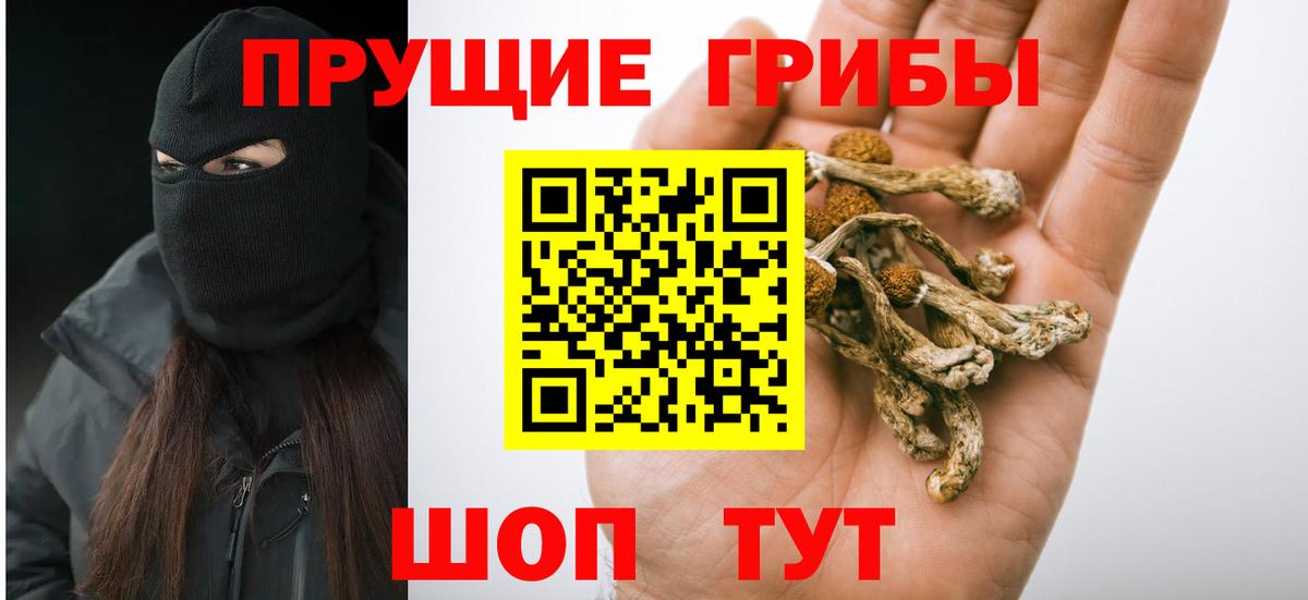 ГАШ Клинцы